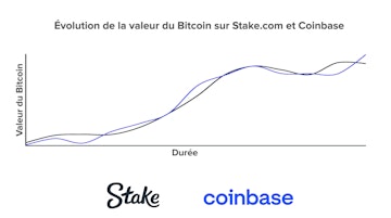 Evolution de la valeur du Bitcoin en Dollars blanc