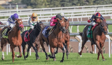 Extension de loffre de paris sportifs