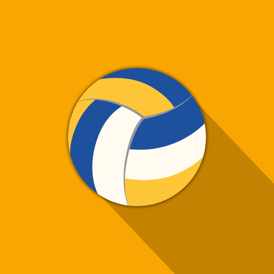 Icone lebon volleyball