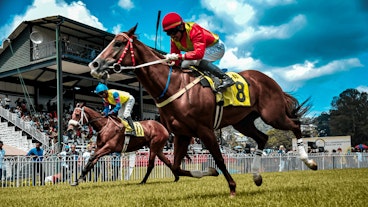 Paris hippiques maroc