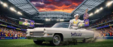 Wildz concours dallas